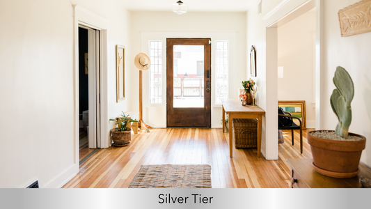 Silver Cleaning Package Starting Price